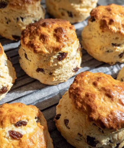Delia Smith Fruit Scones Recipe