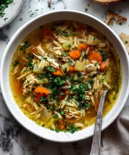 Delia Smith Chicken Soup Recipe